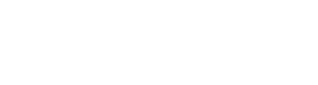 logo skysolution 2